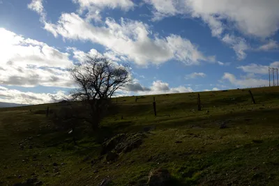 DSC_1032 (Large).JPG